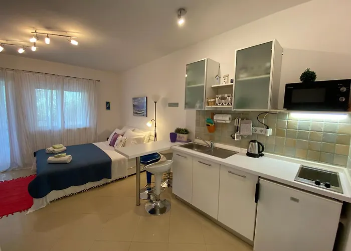 Apartament Sukosan Studio Apartman *